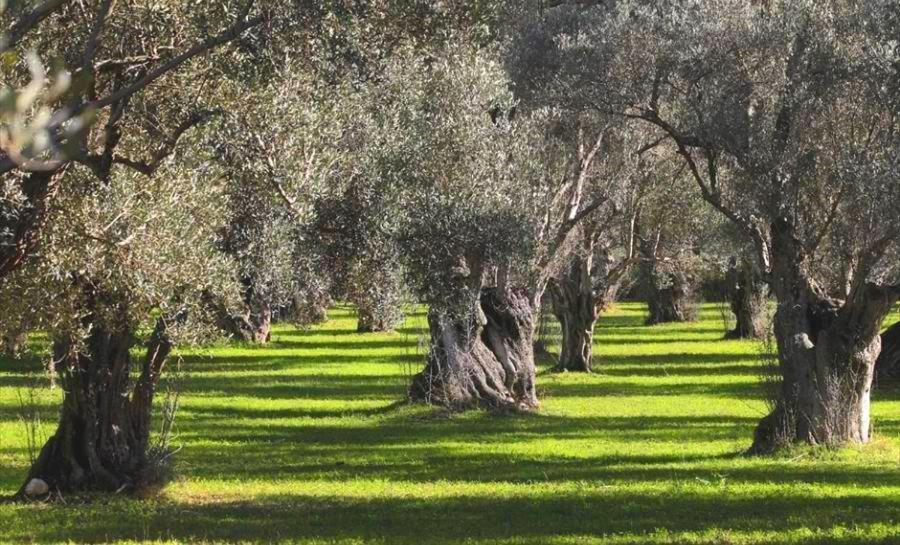 Filoxenia House Marousi -Private Parking- Atenas Exterior foto